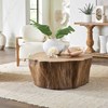 the Uttermost Woods living room occasional coffee table is available in Edmonton at McElherans Furniture + Design