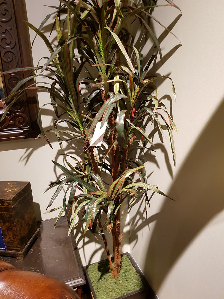 the McElheran's FA12519B Decorative greenery is available in Edmonton at McElherans Furniture + Design