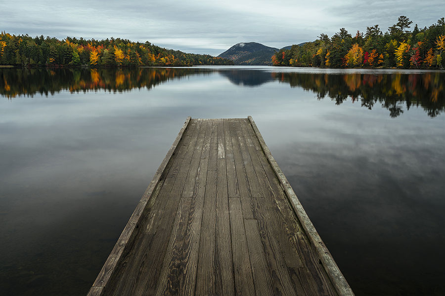 the Leftbank Into Autumn wall art is available in Edmonton at McElherans Furniture + Design