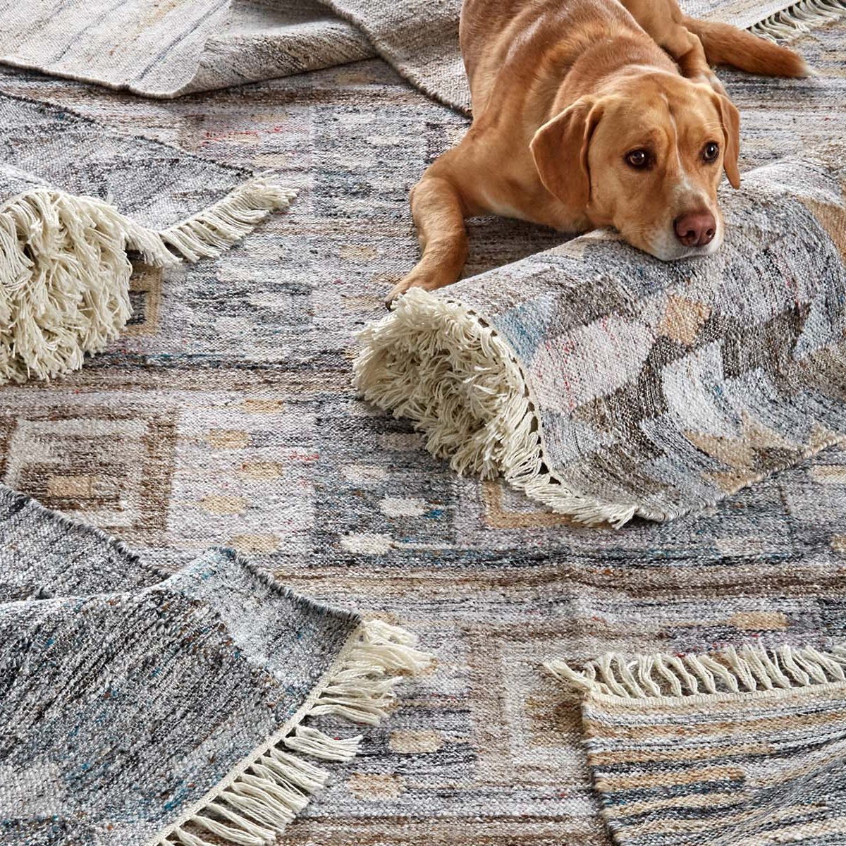 A Rug for Every Room, Every Style
