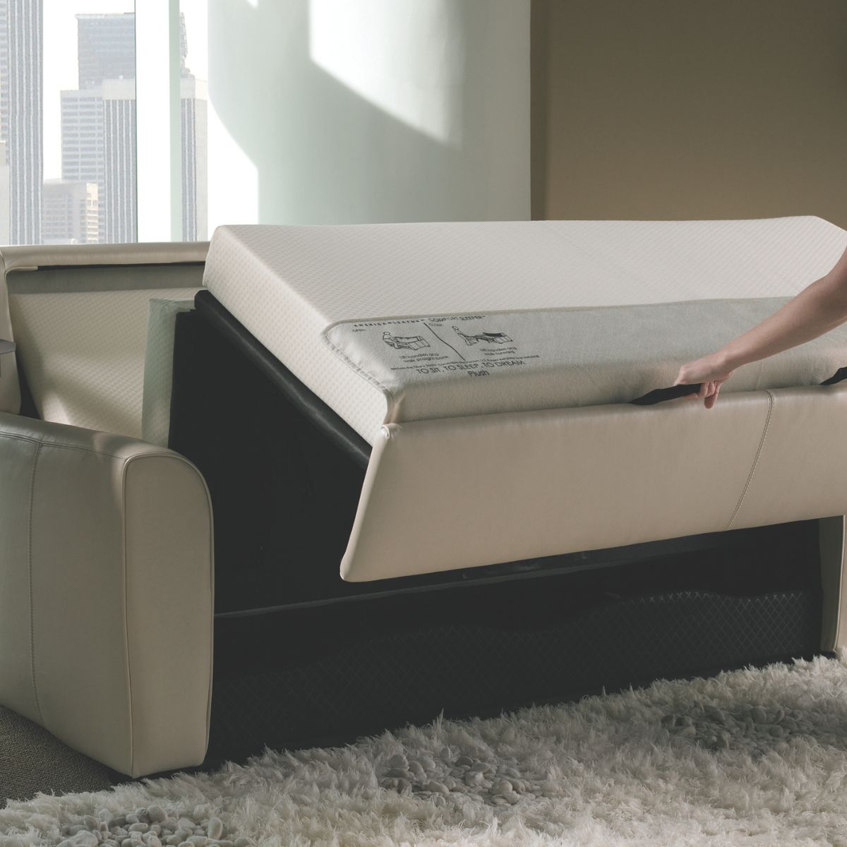 Your Dream Sleeper, in Edmonton