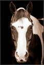 the Leftbank 52MW0049-FC wall art is available in Edmonton at McElherans Furniture + Design