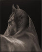 the Leftbank 52JHL0003-D wall art is available in Edmonton at McElherans Furniture + Design
