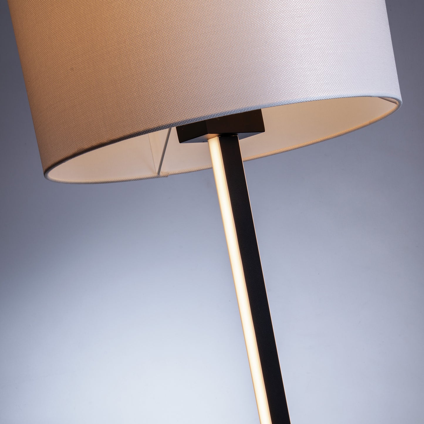 Lite Source Lucci lighting floor lamp