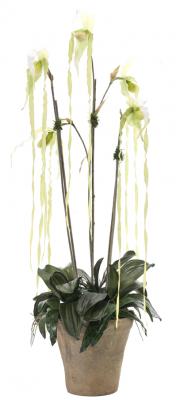 the McElheran's NP101297-189 Decorative greenery is available in Edmonton at McElherans Furniture + Design